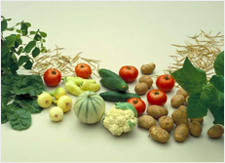 Vegetables are the most diverse range of crops